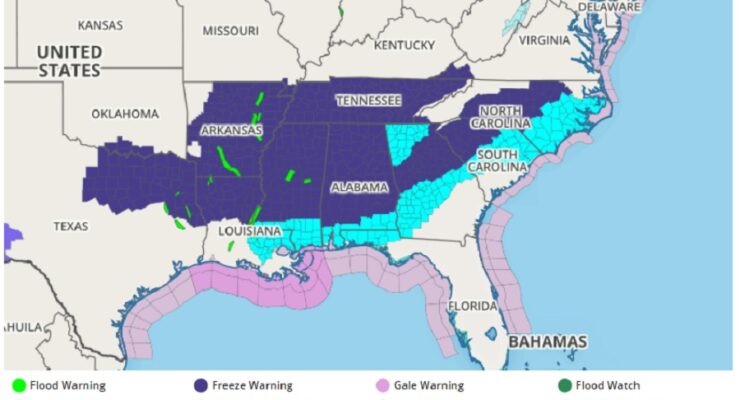 Freeze Warnings in dark purple and Freeze Watches in light blue have been posted throughout the southeastern U.S.. Image: weatherboy.com