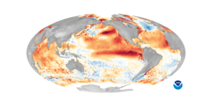 This world map shows sea surface temperature anomalies during one of the strongest El Nino events on record in 2016. The red areas indicate warmer-than-average ocean temperatures, while blue areas represent cooler-than-average temperatures. Image: NOAA