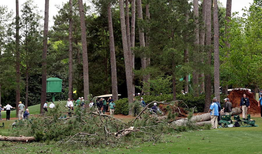 Large Trees at PGA Masters Tournament Fall, Narrowly Missing Spectators