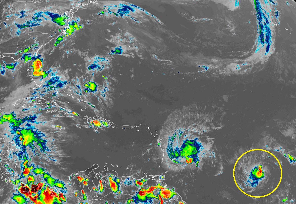Tropical Depression #4, circled in yellow here, is forecast to become Tropical Storm Cindy with time. Image: NOAA