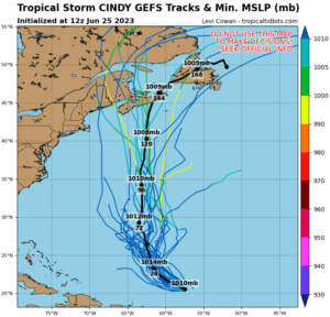 Latest possible tracks for Cindy's future from the GEFS.  Image: tropicaltidbits.com
