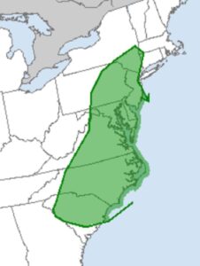 According to the Storm Prediction Center, the area in green has an elevated risk of tornadic thunderstorms today. Image: SPC