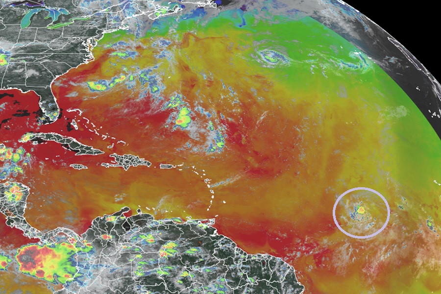 This satellite view from GOES-East, which also includes a colored sea surface reflecting warmer (red) and colder (green) waters, has a new disturbance circled that is expected to become the Atlantic Hurricane Season's next tropical cyclone. Image: NOAA