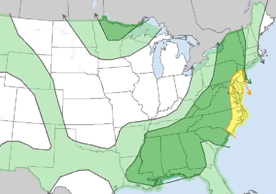 There is a threat of thunderstorms in the light green area and a threat of severe thunderstorms in the darker green areas. The yellow areas have the highest risk of seeing severe thunderstorms today. Image: SPC