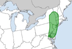 According to the National Weather Service's Storm Prediction Center, there is an elevated risk of tornadoes in the green shaded region on Tuesday. This area has the highest risk of tornadoes in the country tomorrow. Image: SPC