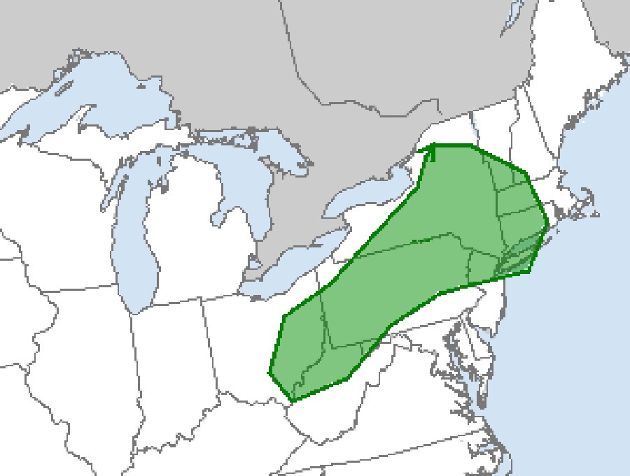 The area in green has an elevated risk of tornadic thunderstorms on Saturday. Image: NWS SPC