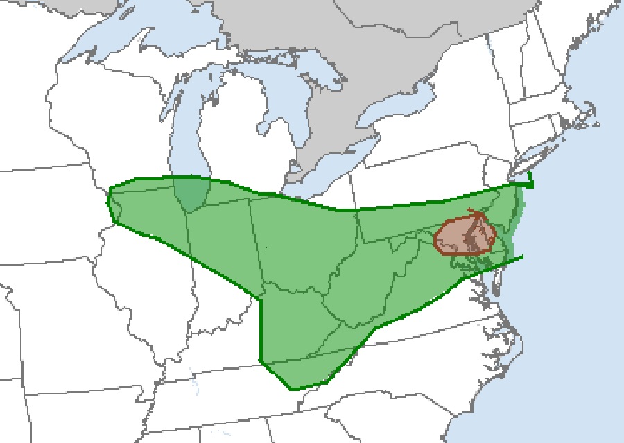The shaded region on this map shows where there is an elevated threat of tornadoes on Monday, with the brown area within the green area showing an even higher risk zone. Anyone in any shaded zone should be prepared should tornadoes materialize. Image: NWS SPC