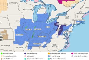 Frost Advisories in blue and Freeze Warnings in purple have been issued across a large part of the U.S. tonight. Image: weatherboy.com