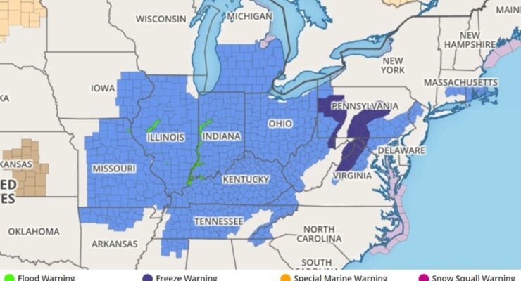 Frost Advisories in blue and Freeze Warnings in purple have been issued across a large part of the U.S. tonight. Image: weatherboy.com