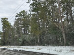 Rare Houston metro area today. Image: Weatherboy