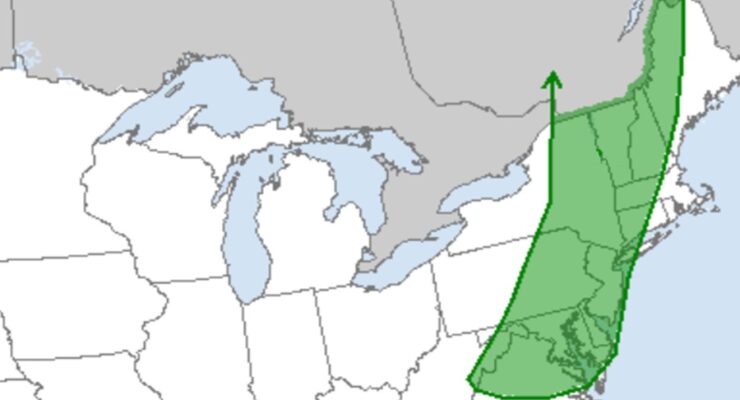 According to the National Weather Service's Storm Prediction Center, the area shaded in green has an elevated risk of seeing tornadoes in the expected severe weather outbreak tomorrow. Image: SPC