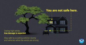 Trees can become dangerous when hit by severe thunderstorms with strong winds. Image: NWS