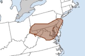The area in brown is most at risk for damaging wind gusts in thunderstorms on Thursday. Image: SPC