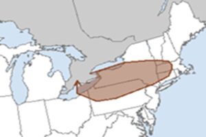The area in brown could see damaging wind gusts on Wednesday as a potent weather system moves through. Image: NWS SPC