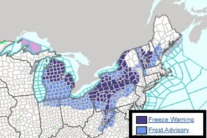 Freeze Warnings are in effect in purple areas while Frost Advisories are up for blue areas across the Northeast. Image: NWS