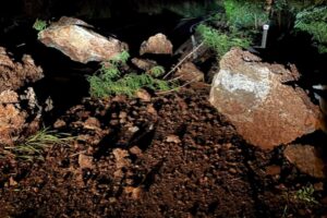The strong earthquake triggered many rockfalls and landslides, covering roadways with boulders, rocks, and other debris. Image: Hawaii County Office of Mayor