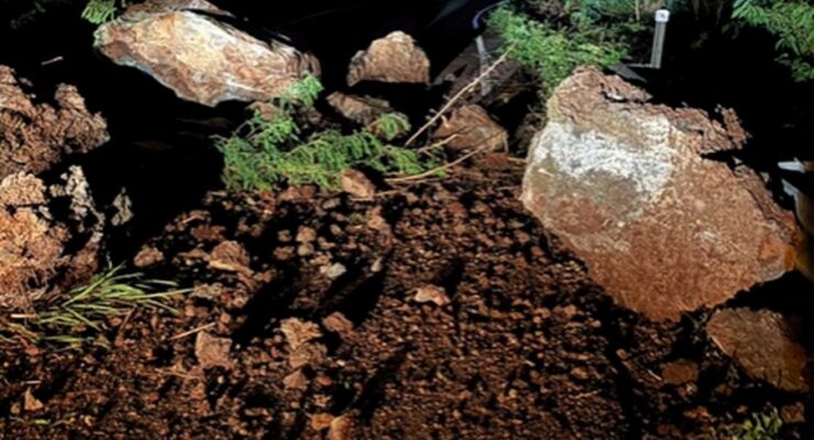 The strong earthquake triggered many rockfalls and landslides, covering roadways with boulders, rocks, and other debris. Image: Hawaii County Office of Mayor