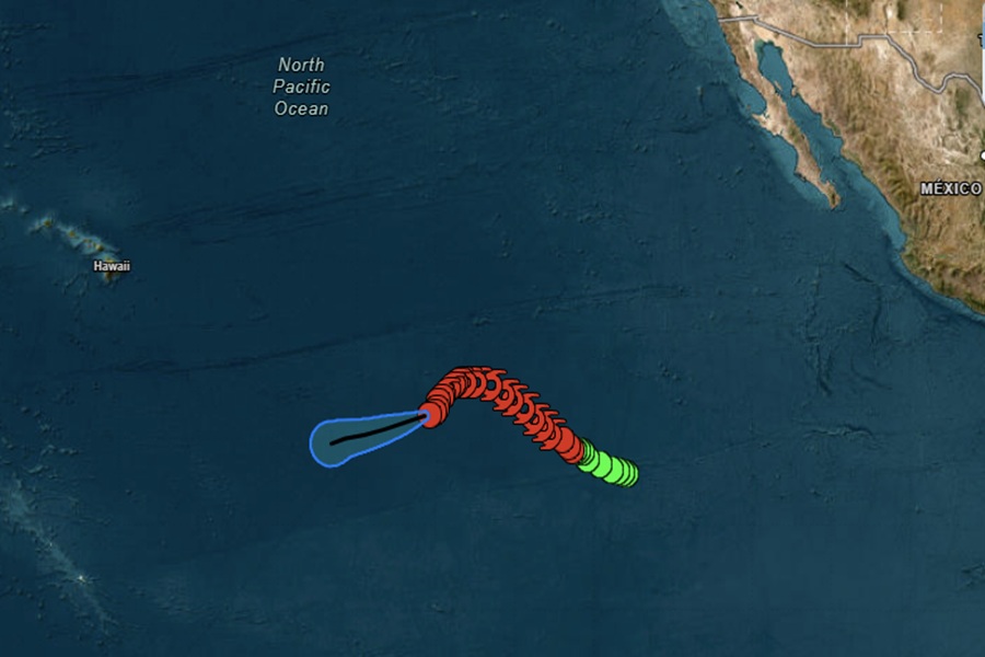 Amanda's future track is shown in the open cone while its past path across the Pacific is also documented. Image: NHC