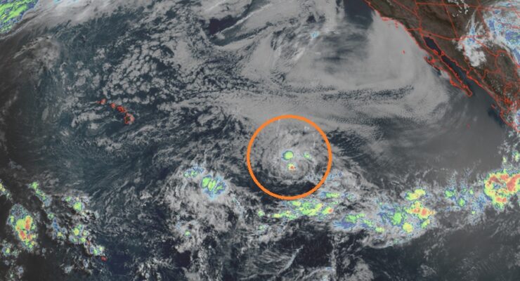Tropical Storm Amanda is located in the orange circle between Hawaii and North America. Image: NOAA