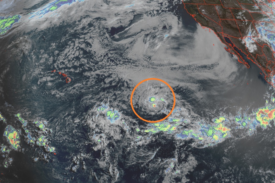 Tropical Storm Amanda is located in the orange circle between Hawaii and North America. Image: NOAA