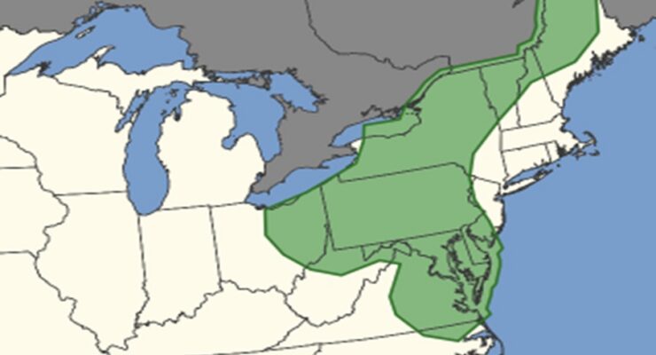 The area in green is at risk of seeing tornadic thunderstorms today. Image: NWS SPC
