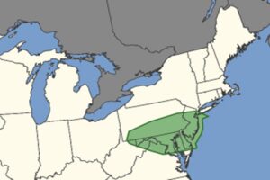 The area shaded in green has an elevated risk of tornadic thunderstorms today. Image: SPC
