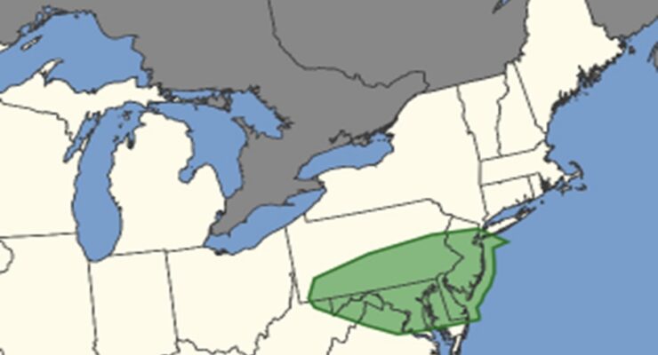 The area shaded in green has an elevated risk of tornadic thunderstorms today. Image: SPC