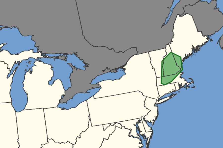 The Storm Prediction Center believes the area in green has an elevated risk of tornadic thunderstorms on Thursday. Image: SPC