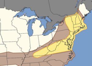 While damaging winds from severe thunderstorms are possible in the brown area, there is a higher chance in the yellow zones on Thursday. Image: SPC