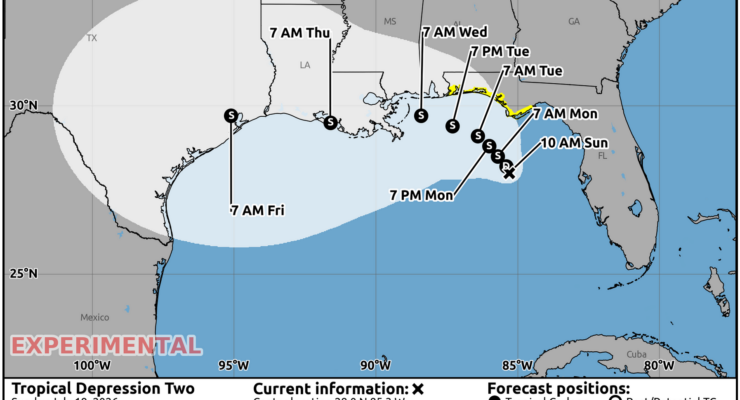 Tropical Storm Watches are up for portions of the Gulf of America coast as Tropical Storm Bertha takes shape. The storm is forecast by the National Hurricane Center to be near Houston, Texas by Friday morning. Image: NHC