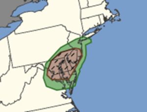 The shaded regions have an elevated risk of tornadoes today; the brown hatched area has an especially higher risk for significant tornadic activity today. Image: SPC