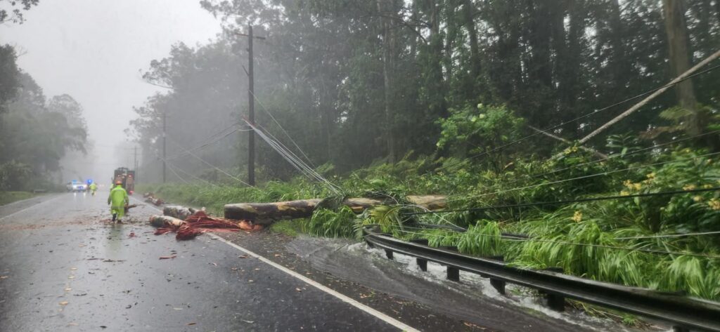 Countless trees and wires are down around the islands of Hawaii. This is the view of Highway 130, also known as Keaau-Pahoa Road near mile-marker 12 on the Big Island of Hawaii. Image: Hawaii Department of Transportation