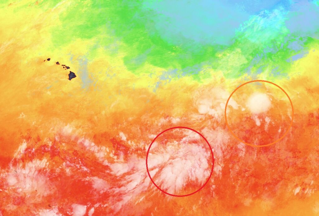 The two systems circled on this map could become tropical cyclones in the coming days, perhaps impacting Hawaii by the upcoming weekend. This view from NOAA's GOES-West weather satellite is color-enhanced to show the sea surface temperature around the islands; areas of orange and red are conducive to intensification. Image: NOAA