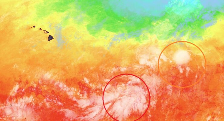 The two systems circled on this map could become tropical cyclones in the coming days, perhaps impacting Hawaii by the upcoming weekend. This view from NOAA's GOES-West weather satellite is color-enhanced to show the sea surface temperature around the islands; areas of orange and red are conducive to intensification. Image: NOAA