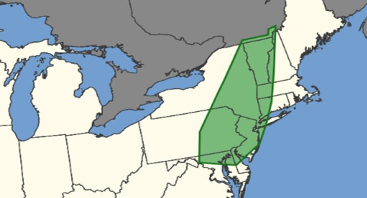 The green area on this map reflects the places in America most likely to see a tornado today. Image: NWS SPC