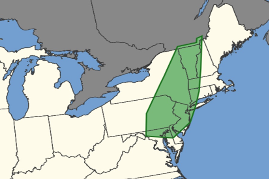 The green area on this map reflects the places in America most likely to see a tornado today. Image: NWS SPC