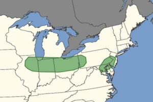 The areas shaded in green have an elevated risk of tornadic thunderstorms today. Image: NWS SPC