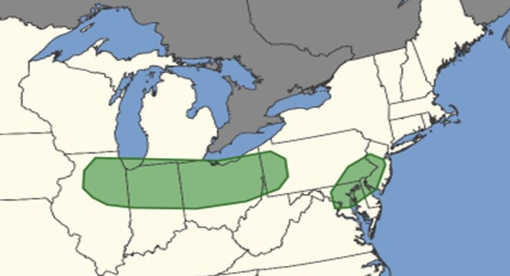 The areas shaded in green have an elevated risk of tornadic thunderstorms today. Image: NWS SPC