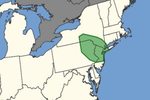 According to the Storm Prediction Center, the area shaded in green is at highest risk of tornadic thunderstorms today. Image: SPC