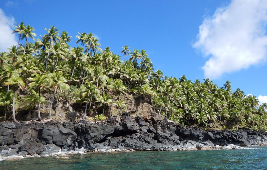Palm trees line the lava-rock coastline of Agrihan, June 27, 2016. Archival photo. Image: NOAA Photo Library.