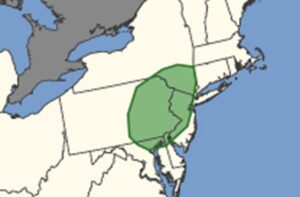 According to the National Weather Service's Storm Prediction Center, the area shaded in green has an elevated risk of tornadoes in the U.S. today. This area is also the only risk area across the entire U.S. for tornadoes today. Image: NWS SPC