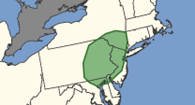 According to the National Weather Service's Storm Prediction Center, the area shaded in green has an elevated risk of tornadoes in the U.S. today. This area is also the only risk area across the entire U.S. for tornadoes today. Image: NWS SPC